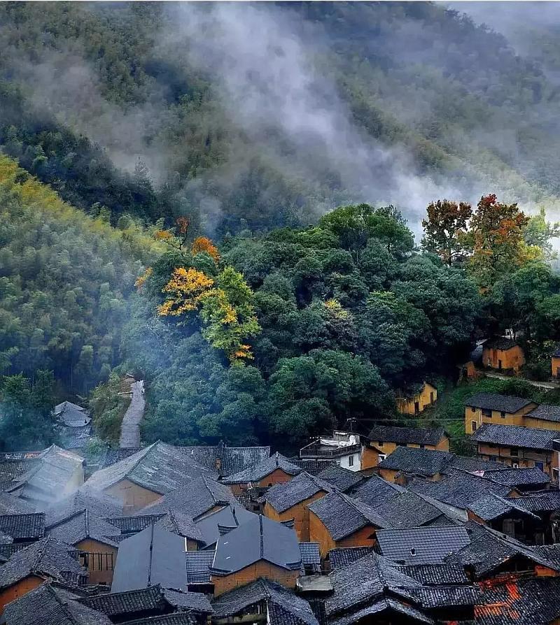 逃离游戏研究中心