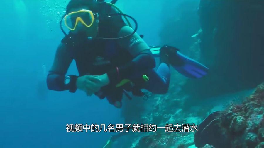 逃离弗农的房子